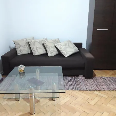 Newly Refurbished With Patio Timisoara