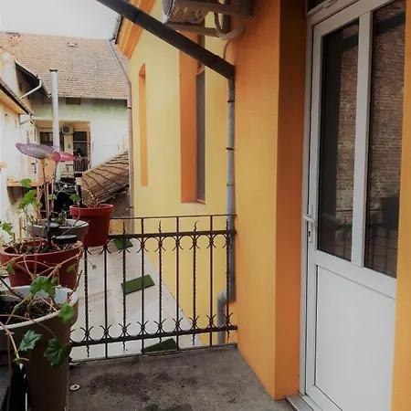 Newly Refurbished With Patio Timisoara